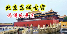 奥门黄色网站播放视频中国北京-东城古宫旅游风景区